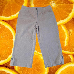 DALIA Collection‎ Blue Striped Capri Pants Size 6